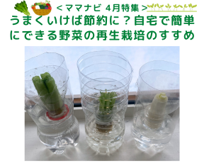 <ママNavi編集部おすすめ> 札幌市内の公園特集1 (17)