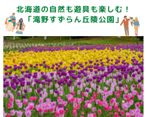 <ママNavi編集部おすすめ> 札幌市内の公園特集1 (24)