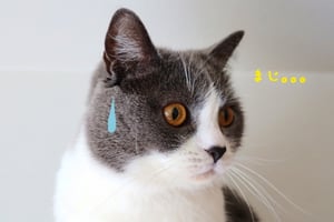 まじで