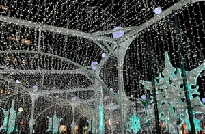 さっぽろホワイトイルミネーションの写真