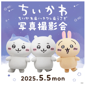 スクリーンショット 2025-04-24 171106