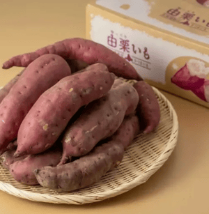 スクリーンショット 2025-11-12 184751