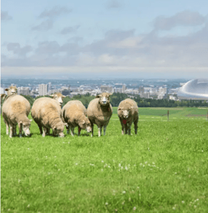 スクリーンショット 2026-04-23 114905