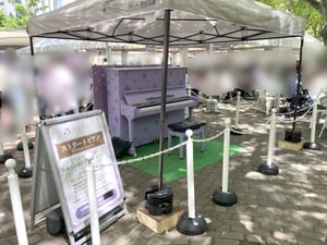 2025さっぽろライラックまつりの写真