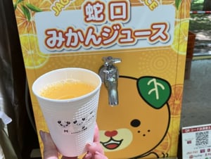 2025さっぽろライラックまつりの写真