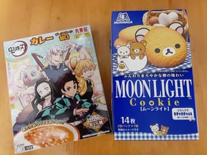 空き箱で簡単パズル