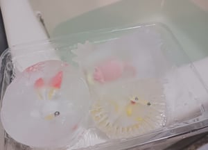凍らせたおもちゃの写真