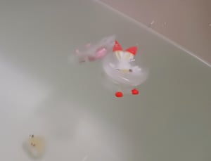 凍らせたおもちゃが溶ける写真