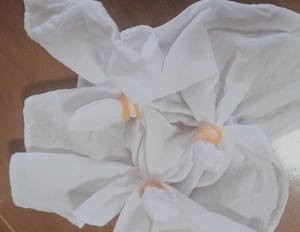 アサガオの花で作った色水で作った染め物
