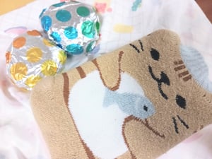 猫のイラストのペットボトルカバーに入った保冷剤とおにぎりの写真