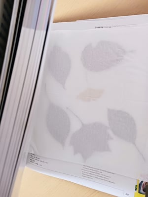 押し葉を作る工程写真
