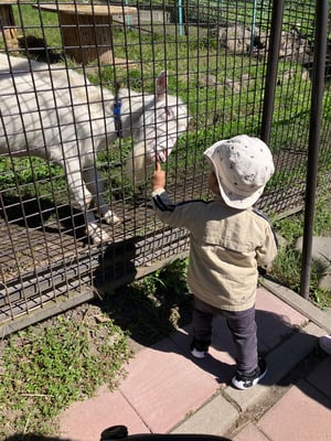 栗山公園の仲良し動物園の写真
