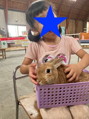 アースドリーム角山農場での写真