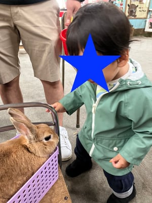 アースドリーム角山農場のふれあい広場の写真