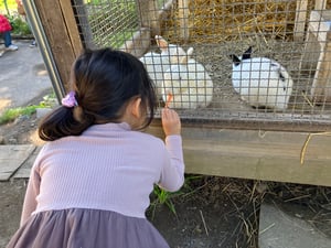 栗山公園の仲良し動物園の写真