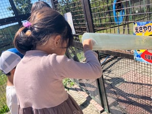 栗山公園の仲良し動物園の写真