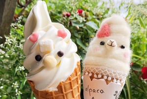 えこりん村のアルパカソフトクリームの写真