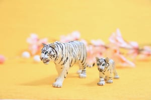 2022年の干支、寅年の説明画像
