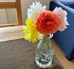 花の写真
