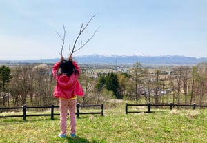 公園ピクニック