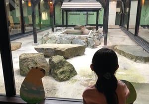 番屋の湯の写真
