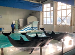 おたる水族館の写真