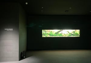 AOAO SAPPOROのネイチャーアクアリウムの写真