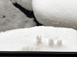 雪のイメージ写真