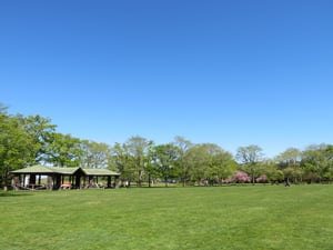 百合が原公園