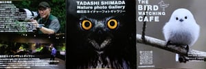 ザ・バードウォッチングカフェ