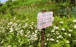 篠路川の写真