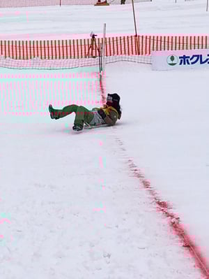 北海道米そり選手権の写真