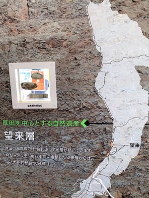 厚田　北海道　望来層　ビーチコーミング