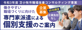 苫小牧市職場改善コンサルティング事業個別支援
