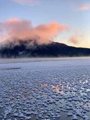 フロストフラワーと雄阿寒岳の写真