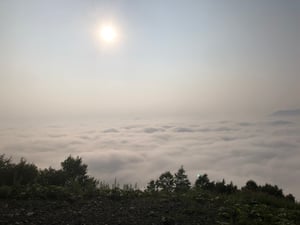 雲海テラスの写真