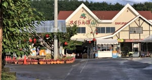 さくらんぼ山　観光農園