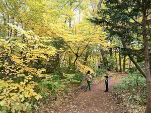 札幌　植物園　子連れ　紅葉　