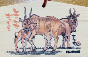 札幌市円山動物園で毎年発売される絵馬の紹介写真
