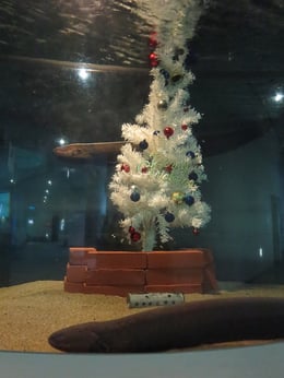 サンピアザ水族館の紹介画像