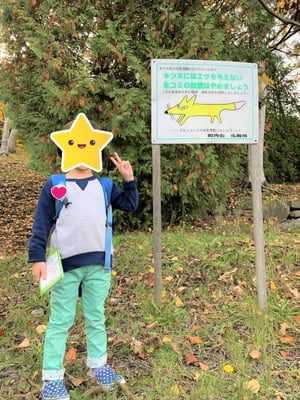 藻岩山の写真