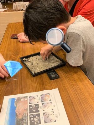 ジオパークワークショップ
