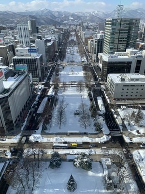 さっぽろテレビ塔からの景色