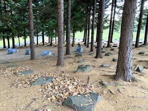 札幌　子連れ　お出かけ　芸術の森野外美術館