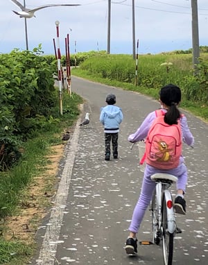 天売島でサイクリング
