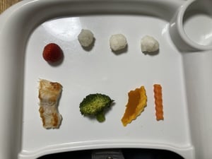 離乳食の写真