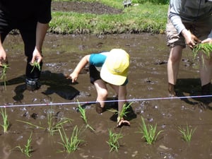 47427e25567d8fc2a515604f5789015e-scaled