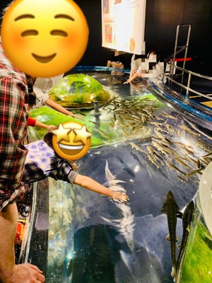 千歳水族館