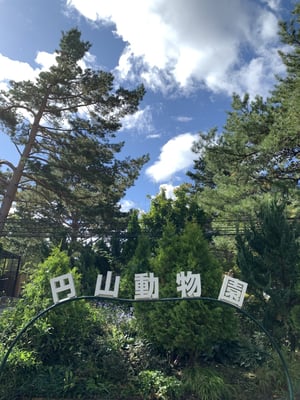 円山動物園の写真
