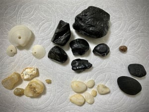 北海道　厚田　海　望来浜　ビーチコーミング　子連れ